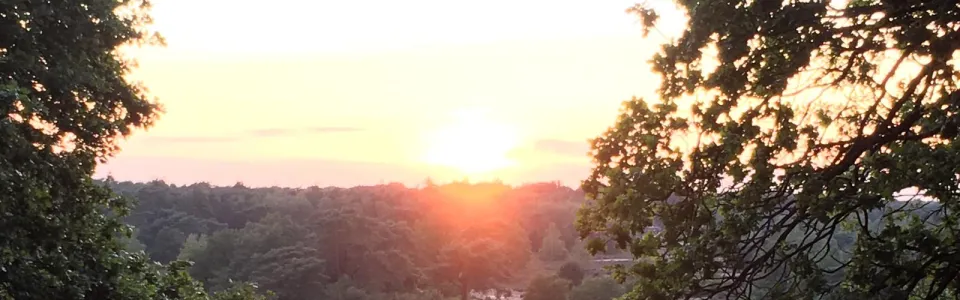 Zonsondergang boven de zandvlakte