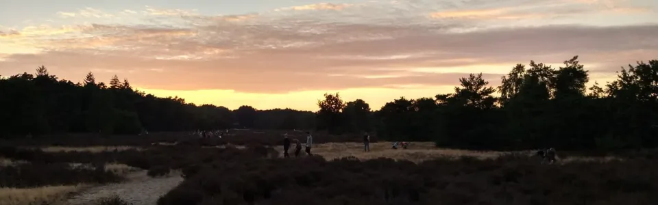 Zonsondergang boven de heide