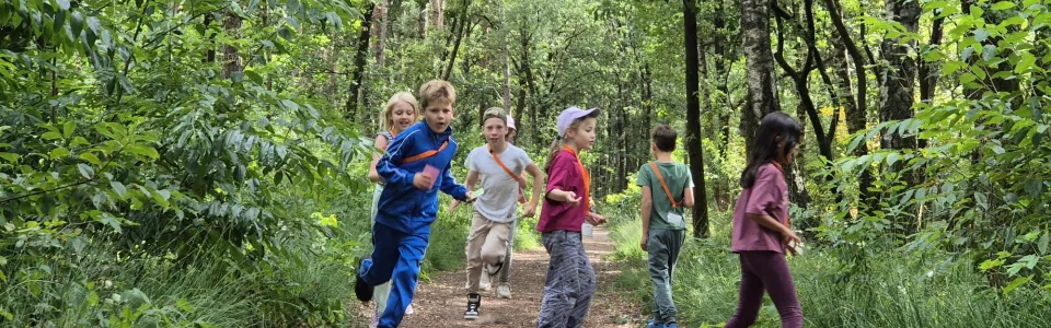 Deelnemers lopen over een bospad