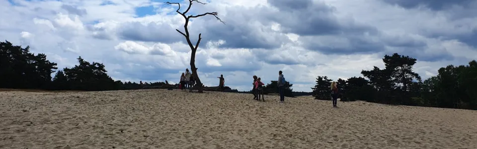 Zandvlakte met een kale boom onder een bewolkte lucht