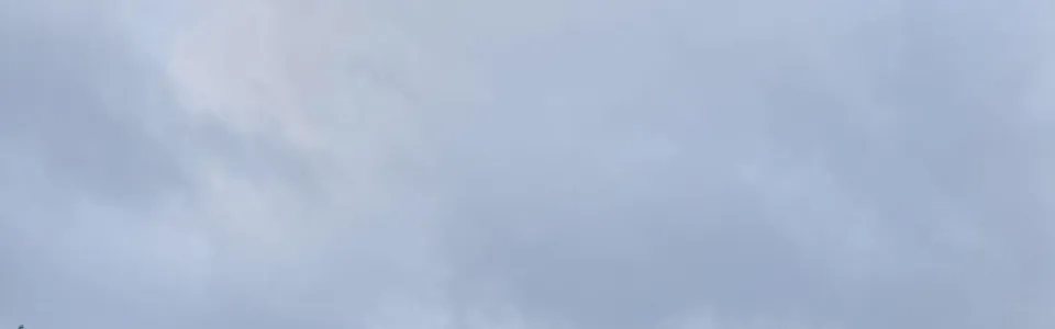 Deelnemers spelen een spel op het grasveld