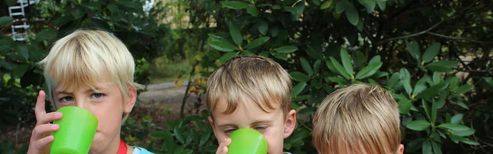 Kinderen drinken uit gekleurde bekers
