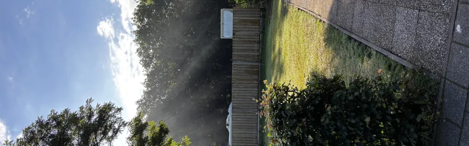 Zonlicht door de bomen boven het kampterrein