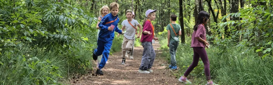 Kinderen rennen vrolijk samen over een bospad tijdens het kamp
