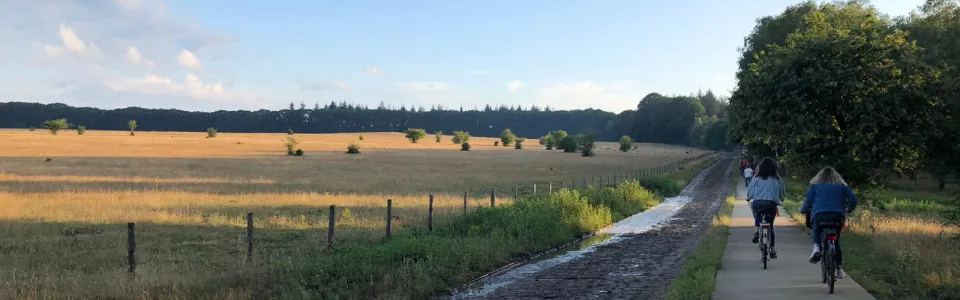Fietsers op een landweg onder een bewolkte lucht