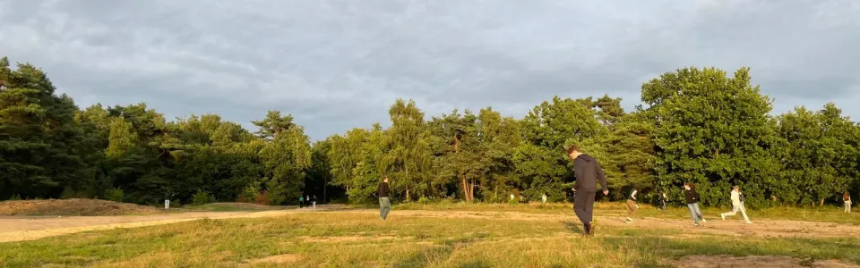 Heidelandschap in de avondzon