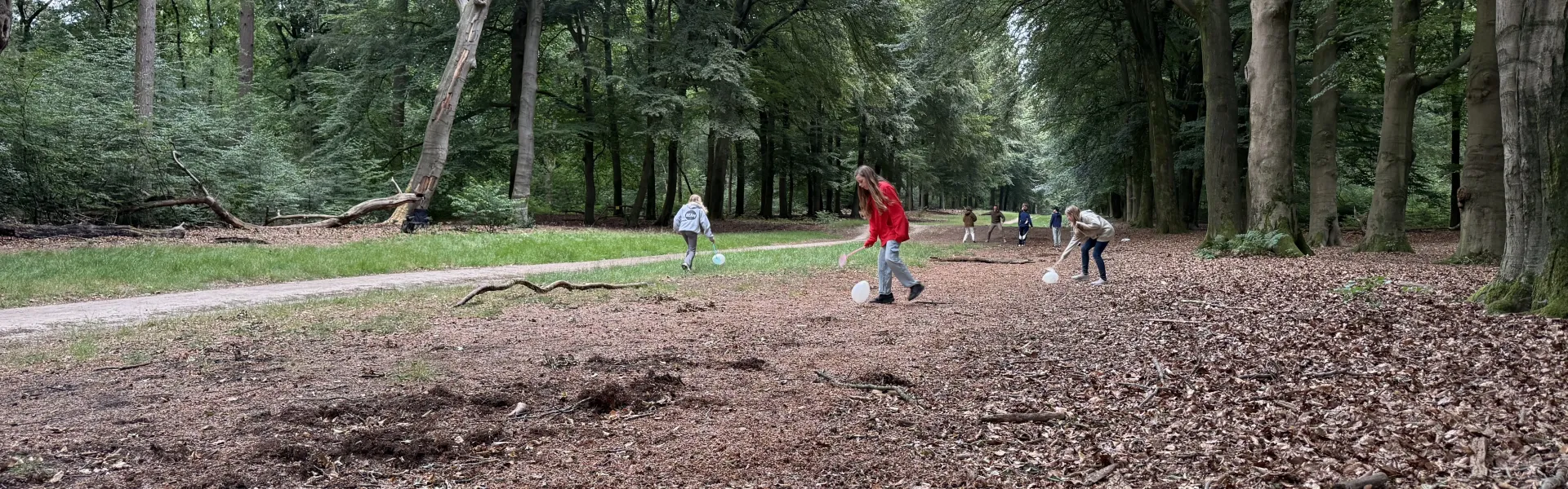 Bospad met deelnemers in de verte