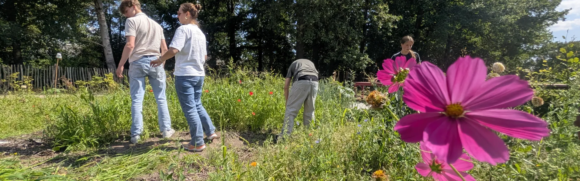 Deelnemers in een veld met bloemen op de voorgrond
