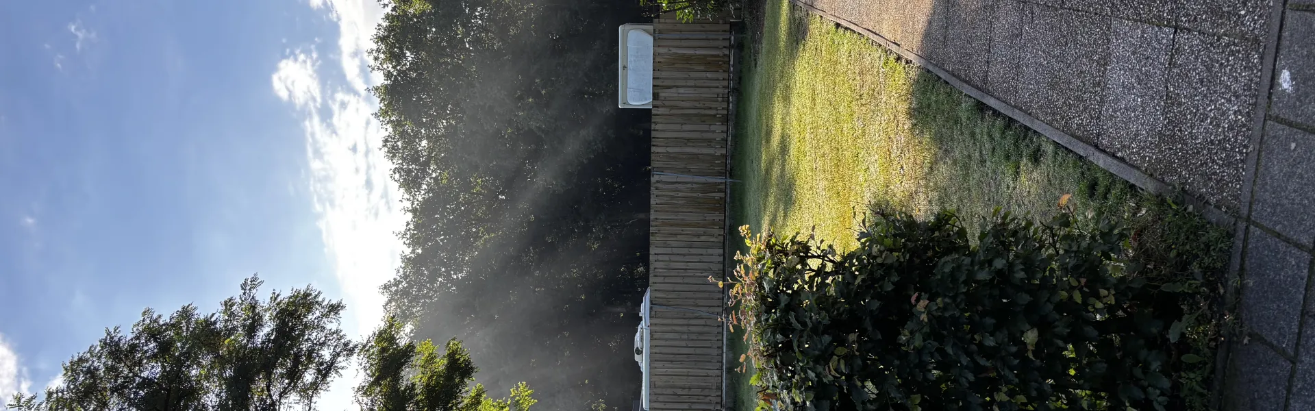 Zonlicht door de bomen boven het kampterrein